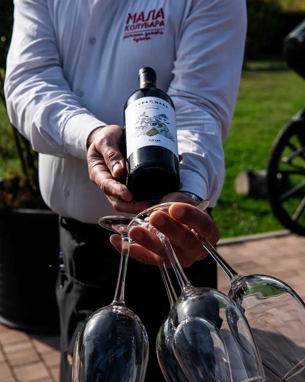 MKS vino u ruci